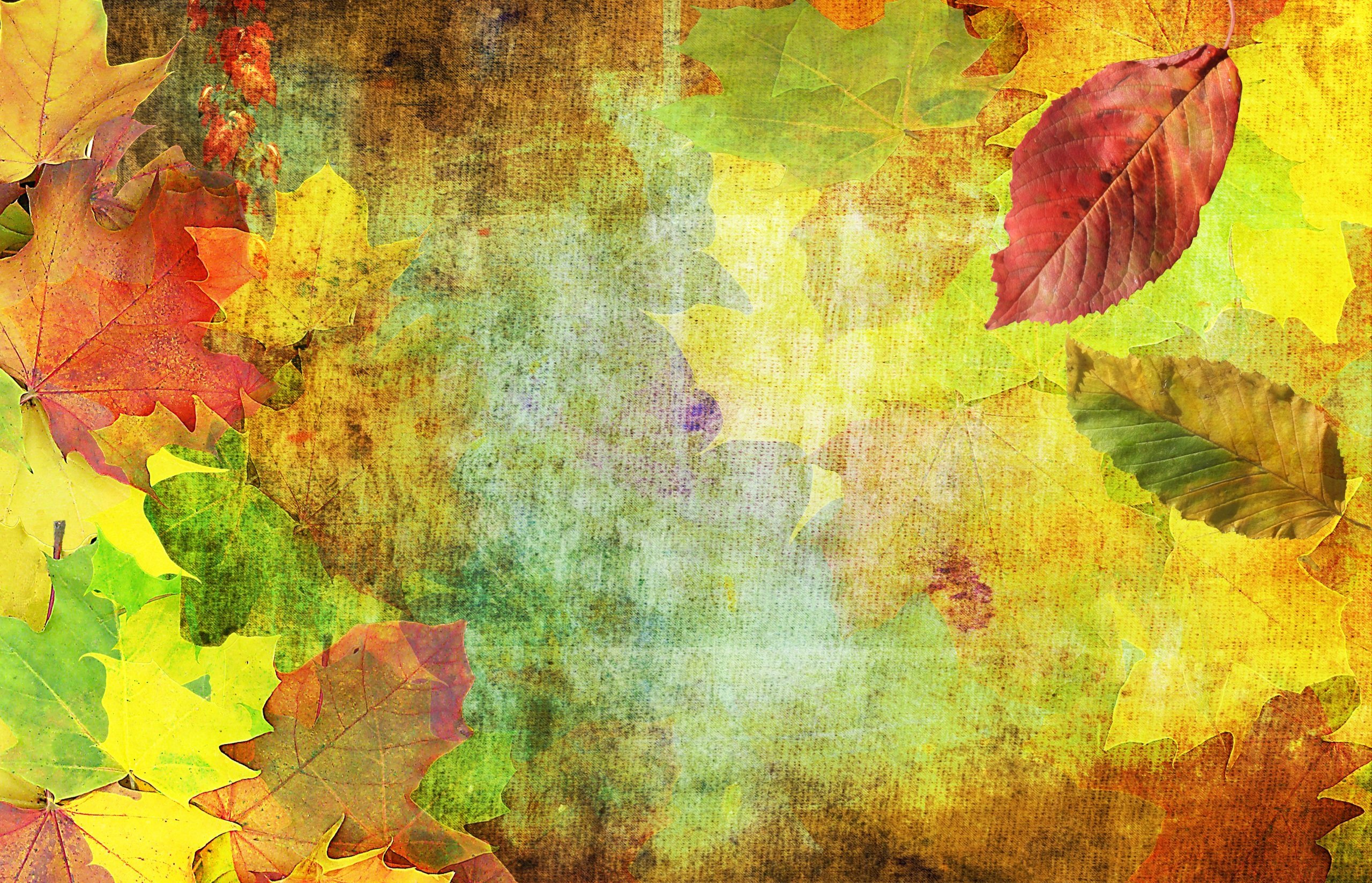 Как нарисовать осень — учимся рисовать пейзаж на осеннюю тему акварелью и гуашью. примеры, советы и эскизы от художника
