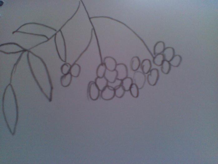 Нарисовать дерево рябину поэтапно – как нарисовать рябину карандашом поэтапно? - club-detstvo.ru