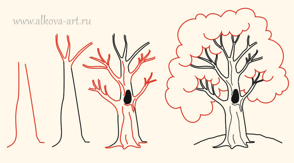 Рисование в средней группе «сказочное дерево», конспект занятия: методика, поэтапная схема рисования дерева и прочее