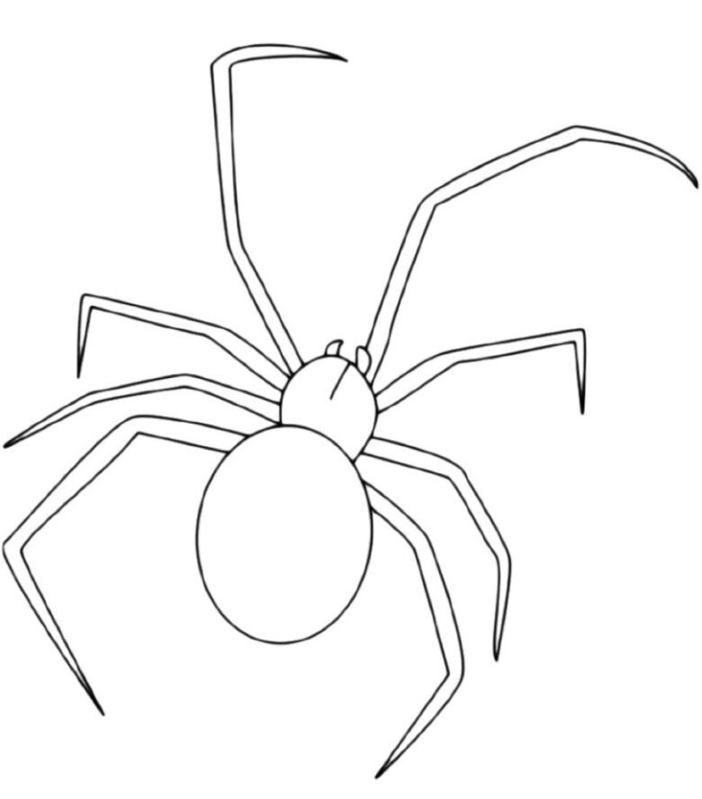 Как нарисовать человека-паука поэтапно карандашом для начинающих и детей? как нарисовать человека-паука в полный рост и голову карандашом?
