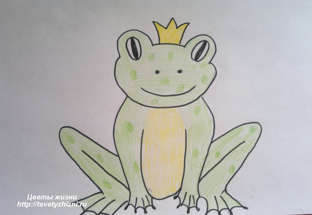 Как нарисовать лягушку которая прыгает. как нарисовать лягушку карандашом поэтапно