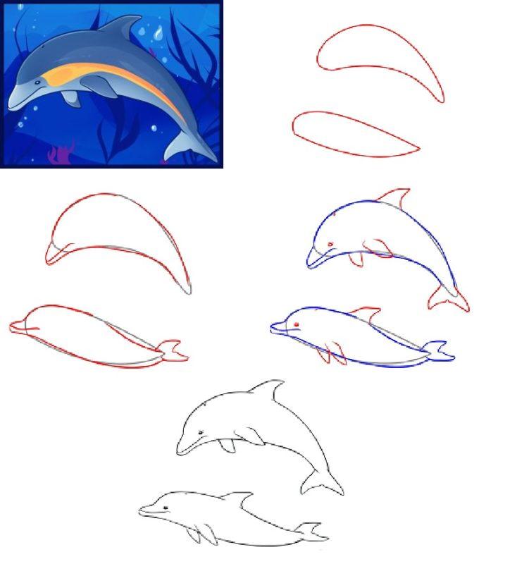 Как нарисовать дельфина поэтапно карандашом (53 фото) - легкие мастер-классы по рисованию дельфина