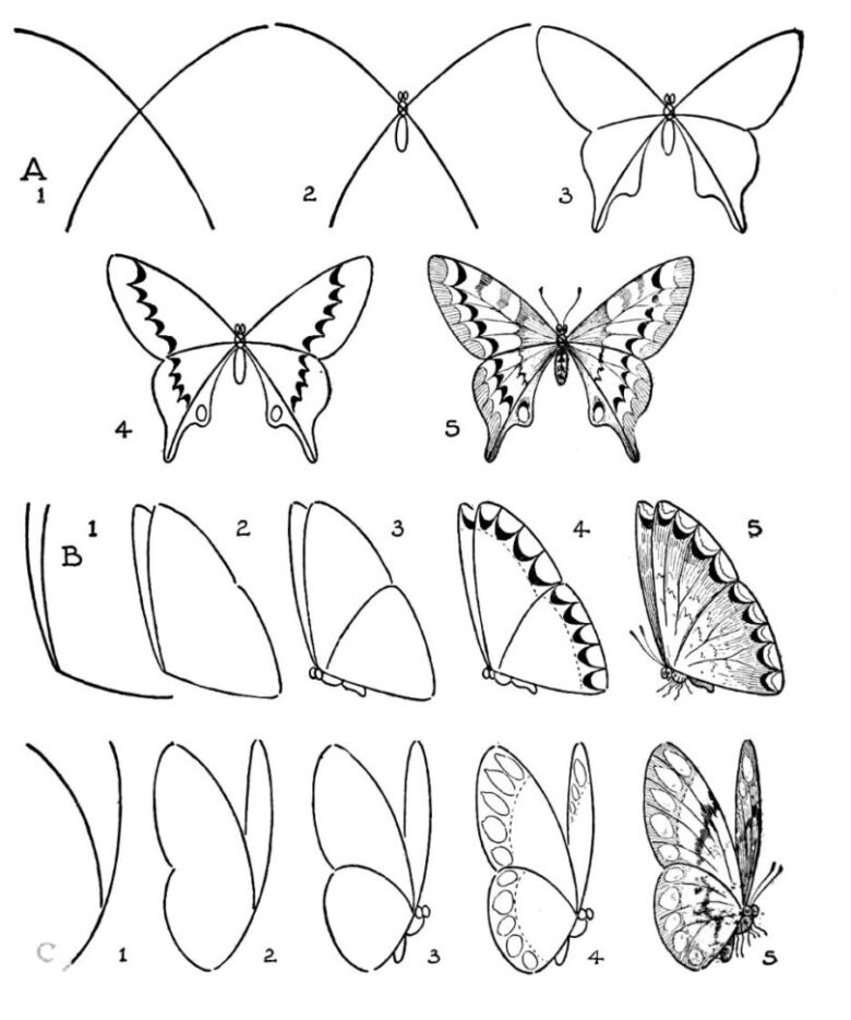 Как рисовать бабочку