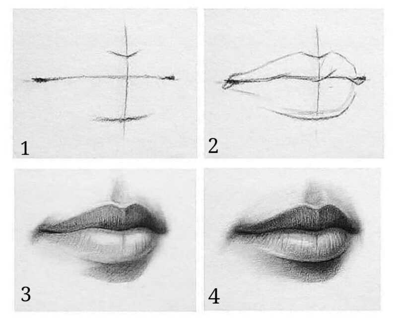 Портрет человека: как рисовать губы :: syl.ru