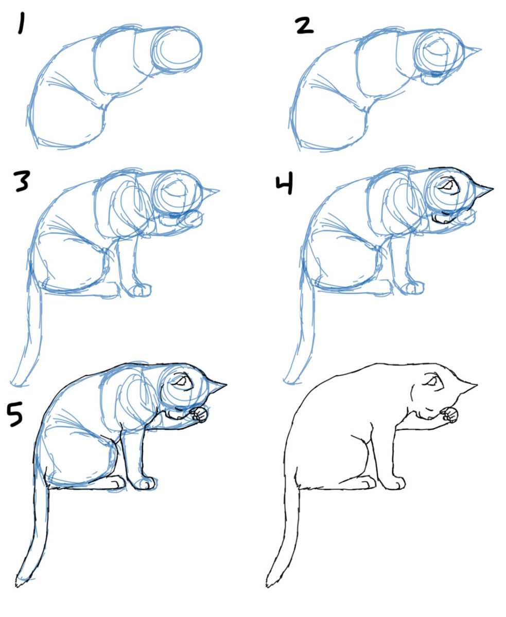 Пошаговый рисунок кота