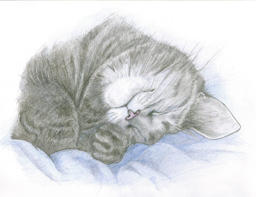 Рисуем котенка карандашом вместе с моим «котенком»))