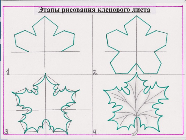 Как рисовать кленовый лист поэтапно. лист клена приоткрывает свои тайны.