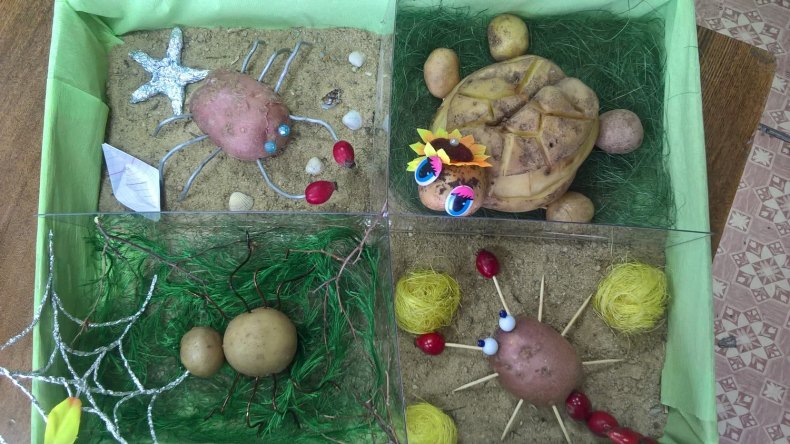 Поделки из картошки своими руками в детский сад и школу