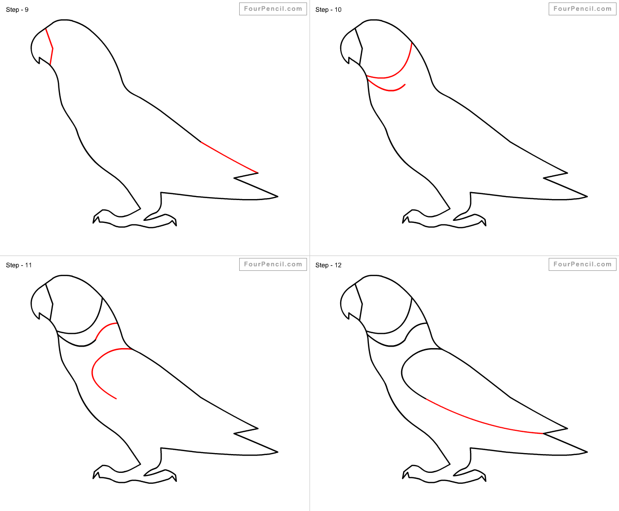 Как нарисовать попугая поэтапно - инструкция с фото и описанием всех этапов создания рисунка