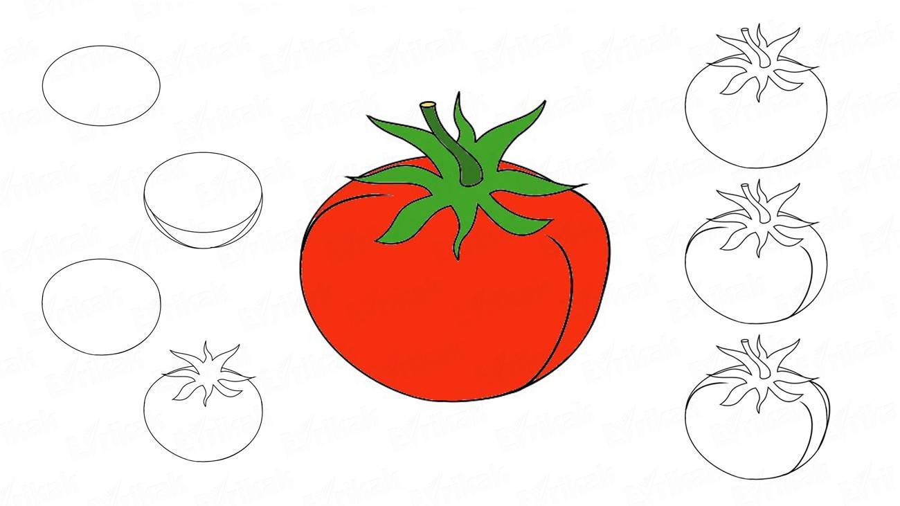 Учимся поэтапно рисовать натюрморт с фруктами (+ раскраска). натюрморт с фруктами
