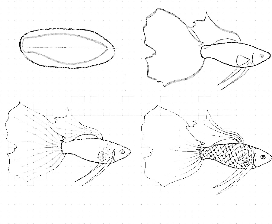 Как нарисовать рыбку карандашом и фломастером - поэтапные мастер-классы для начинающих