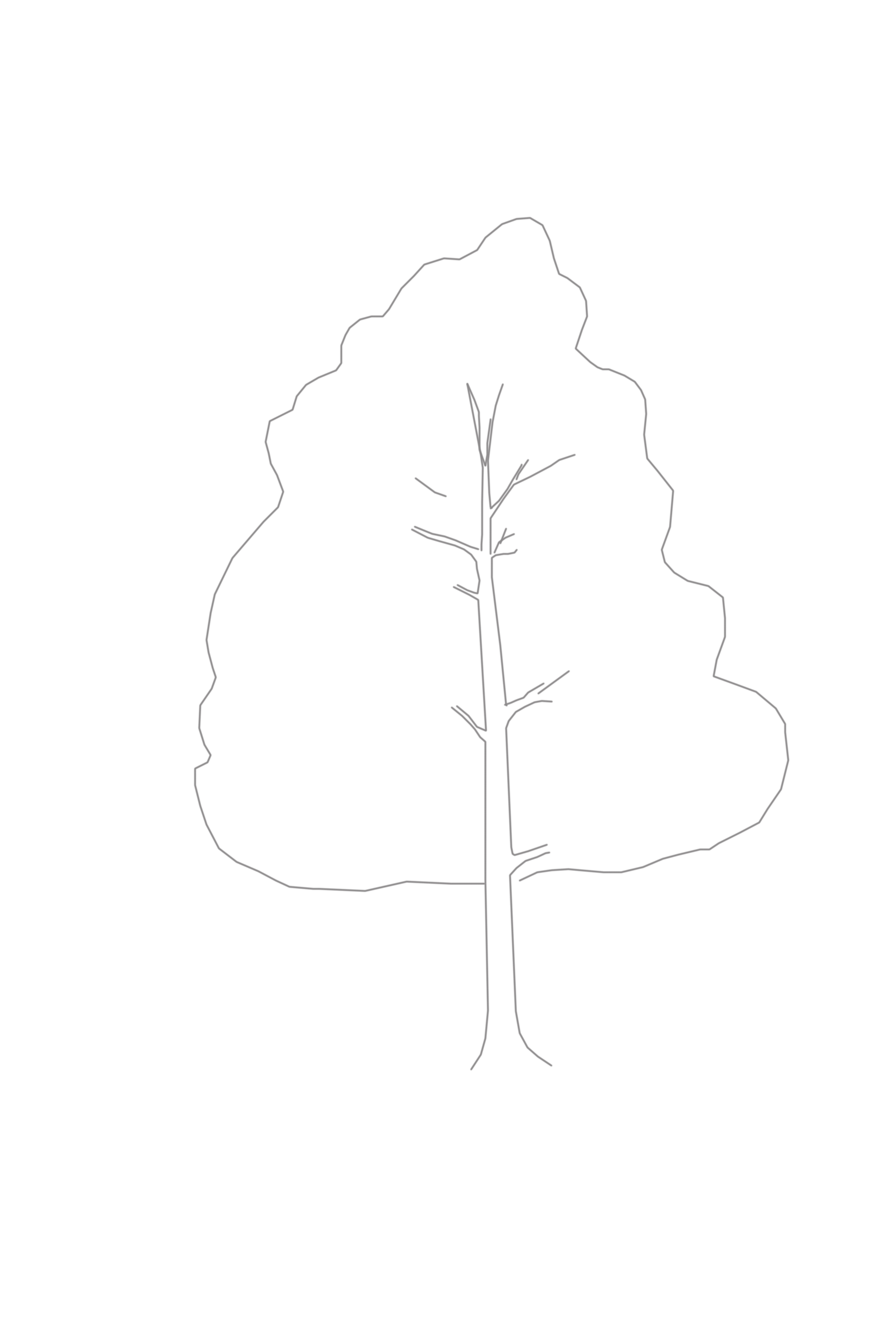 Как нарисовать дерево: как легко и красиво создать рисунок дерева, кустов и растений