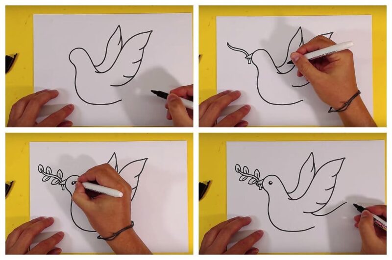 Как нарисовать голубя пошагово: легкие и простые уроки для детей, и начинающих, схемы, шаблоны и картинки от художника