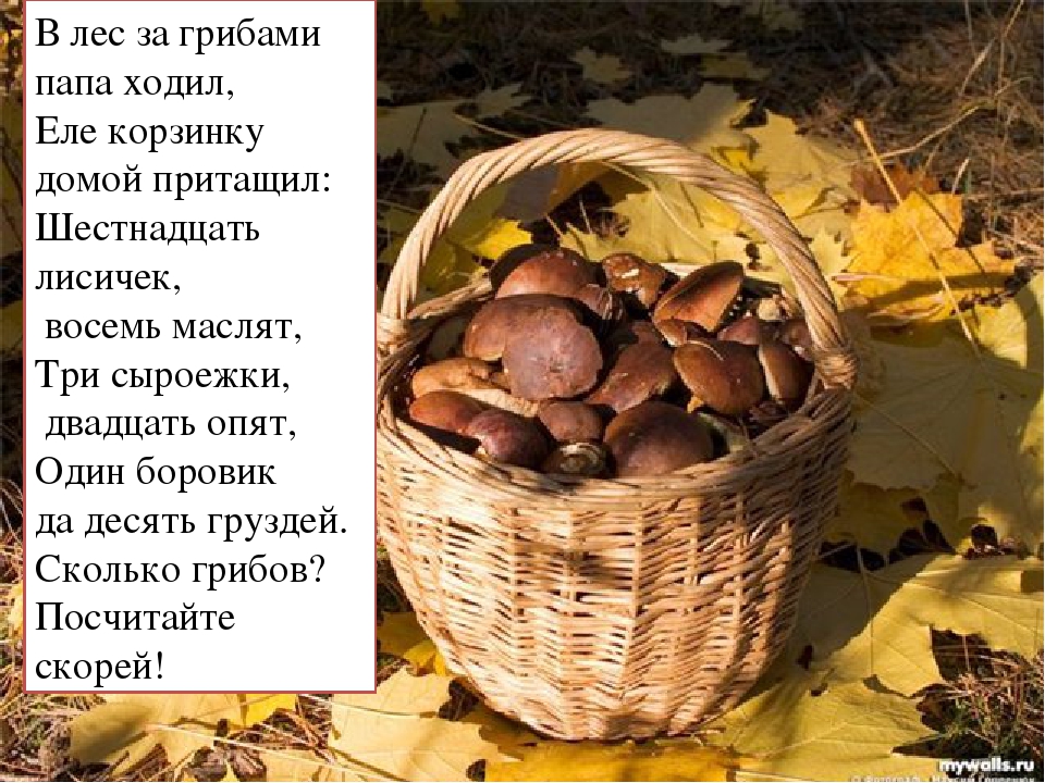 От новогоднего декора до баночки варенья, или что можно сделать из обыкновенных шишек - квартира, дом, дача
                                             - 26 декабря
                                             - 43873719703 - медиаплатформа миртесен