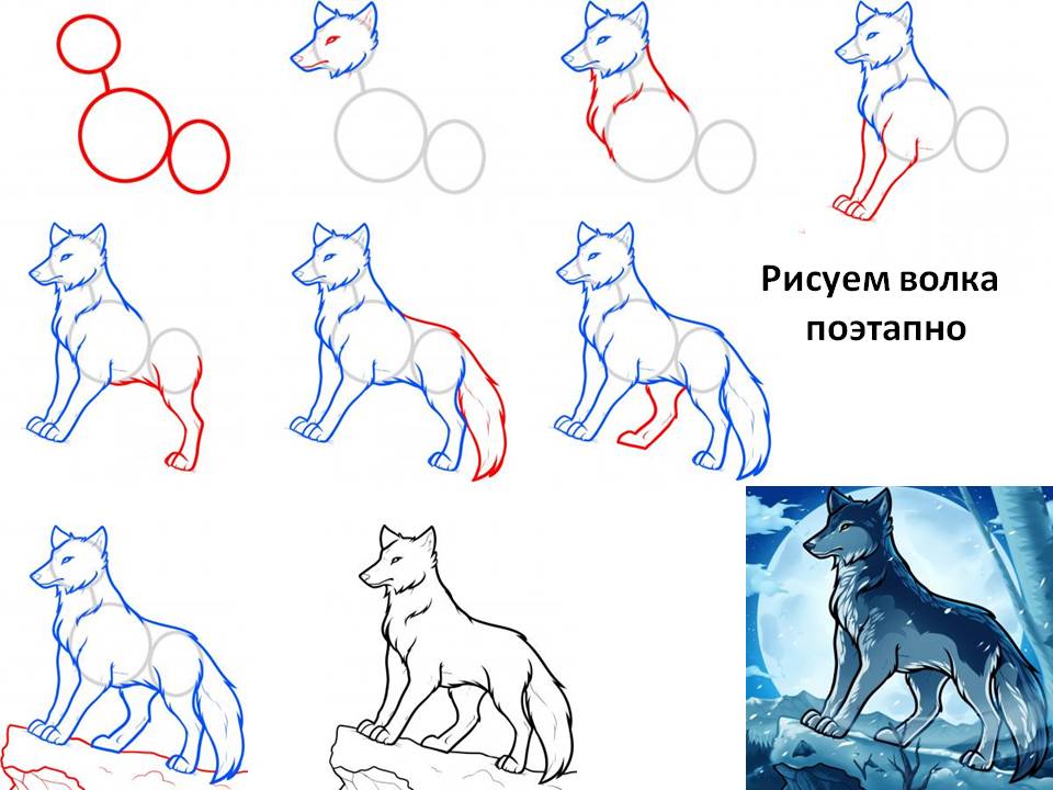 7 шагов: ???? как нарисовать волка поэтапно карандашом легко и красиво
