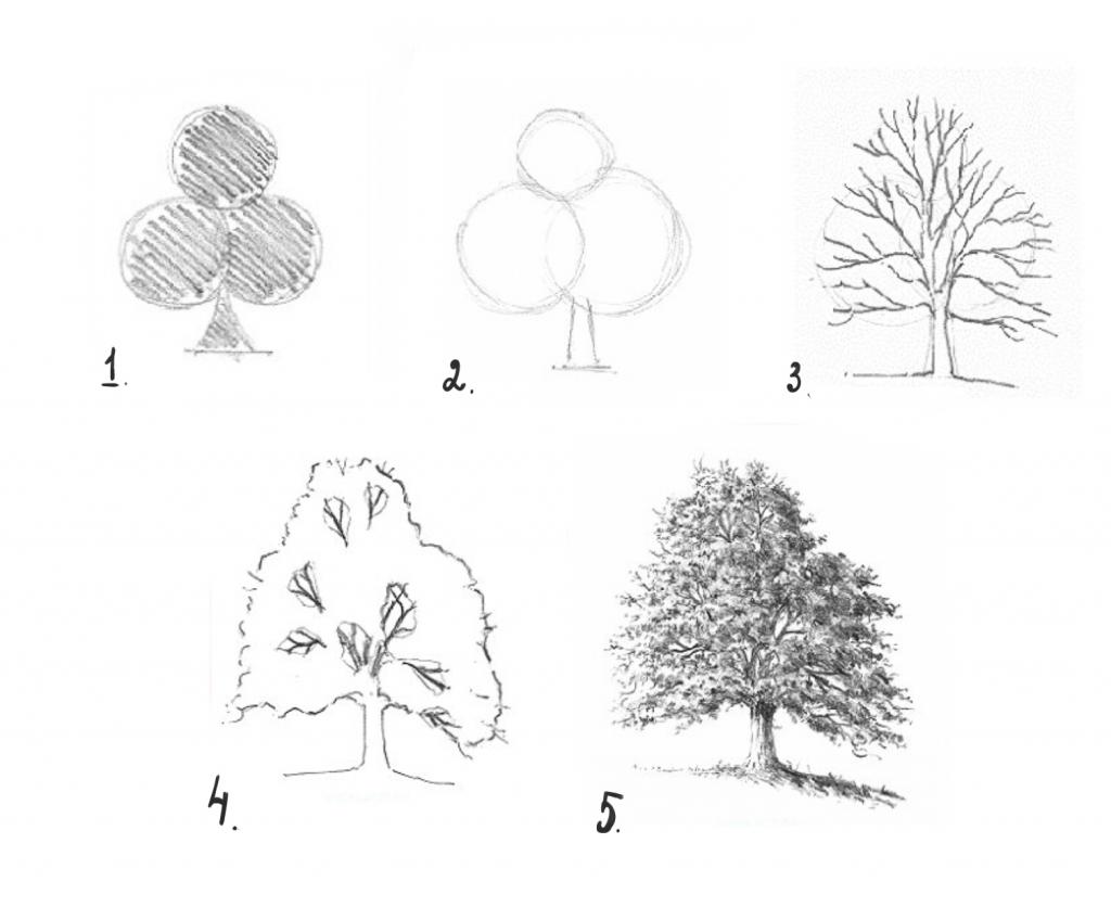 Как нарисовать красивый лес