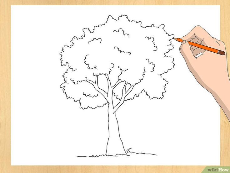 Как нарисовать дерево легко и красиво для начинающих