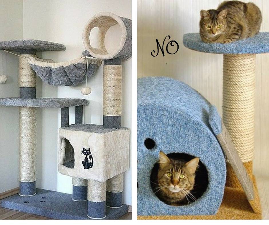 Домик для кошки своими руками: варианты, чертежи, размеры, каноны изготовления