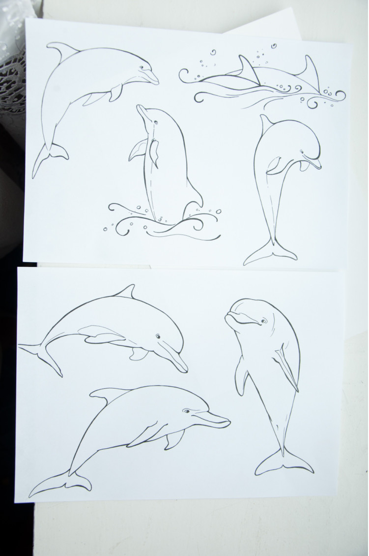 Как нарисовать дельфина пошагово: необычные решения и советы от художника. мастер-класс с описанием для начинающих