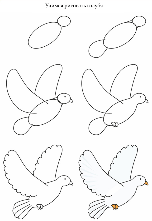 Как нарисовать голубя на день победы 9 мая поэтапно 3 урока