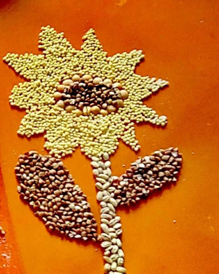 Поделки из крупы - использование различных семян для создания композиций (видео + 150 фото)