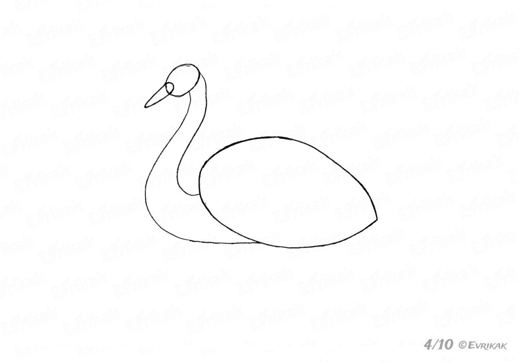 Как нарисовать лебедя поэтапно карандашом. учимся рисовать карандашом лебедя на волнах