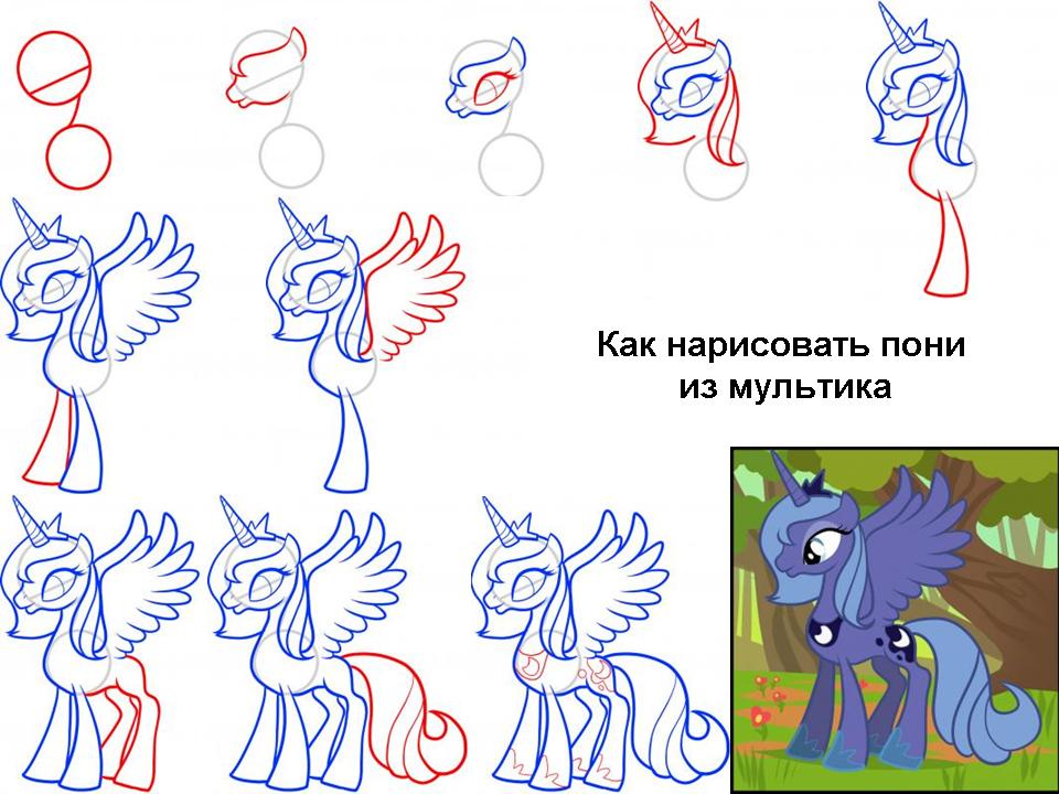 Как нарисовать пони (my little pony) карандашом? простая инструкция со схемами и секретами