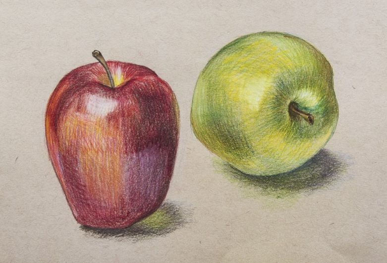 Как нарисовать яблоко поэтапно: карандашный и акварельный рисунок для начинающих и детей