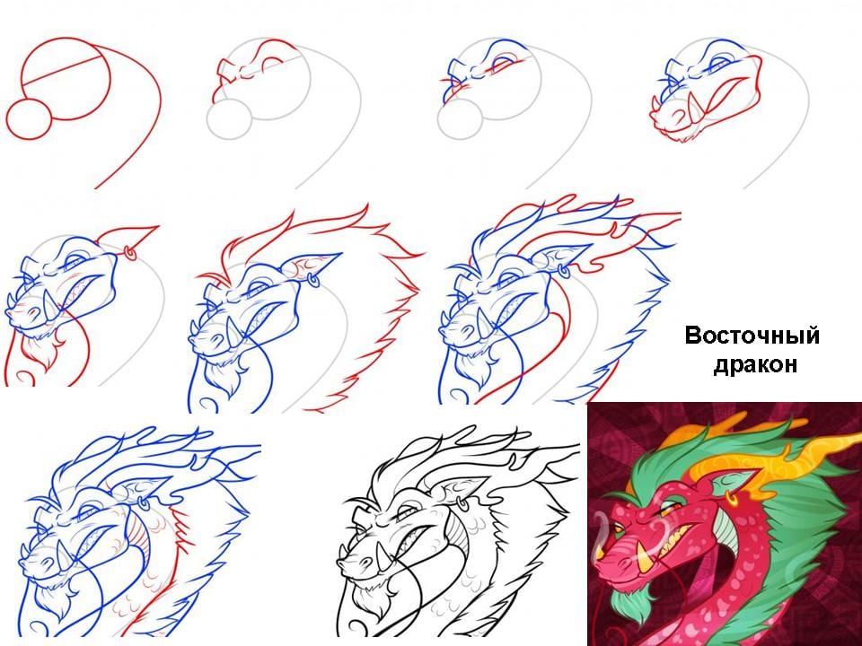 Как нарисовать китайского дракона карандашом поэтапно