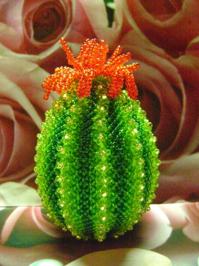 Кактус из бисера: схема плетения и мастер-класс цветка кактуса с фото и видео