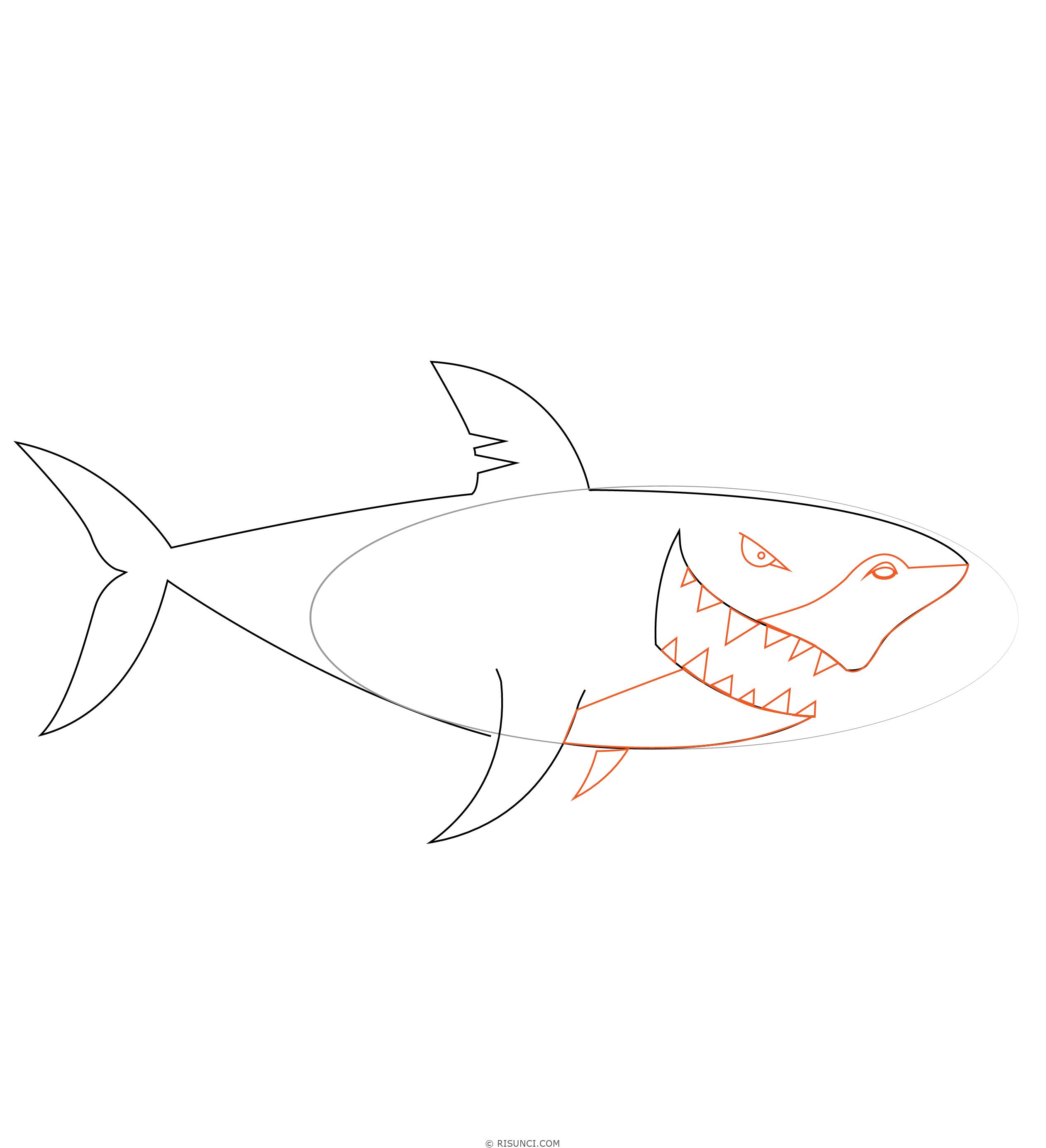 Как нарисовать акулу поэтапно 12 уроков