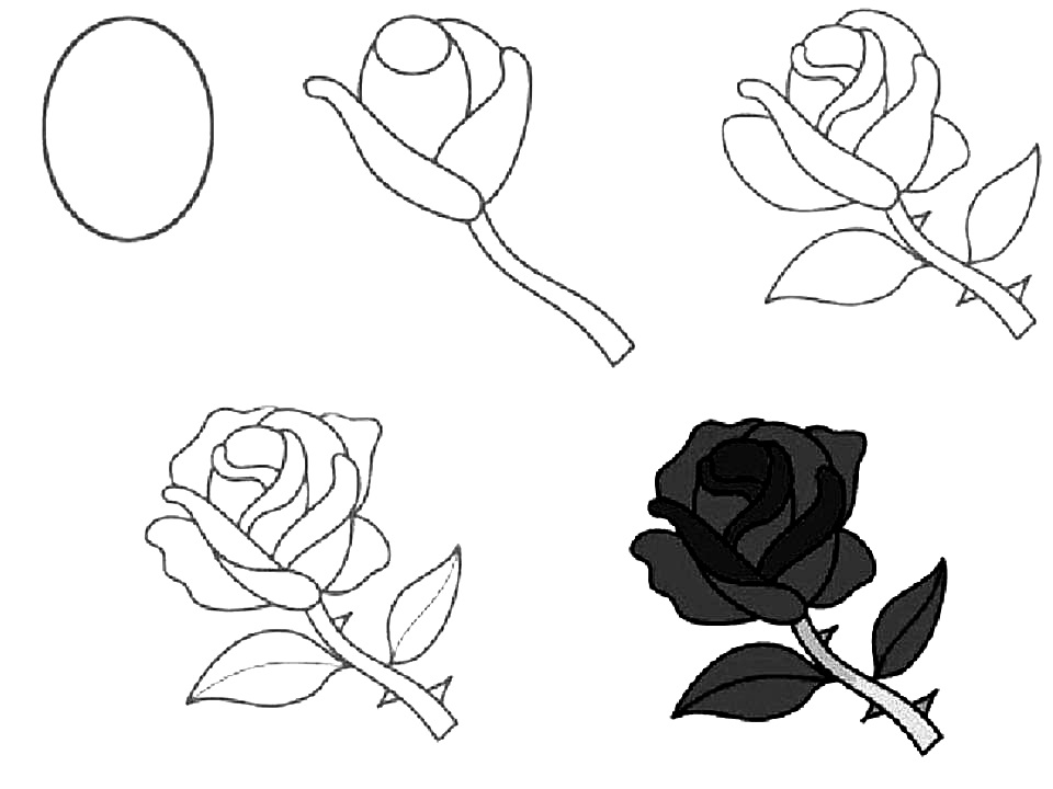 Как можно нарисовать цветы - пошаговые схемы - handskill.ru
