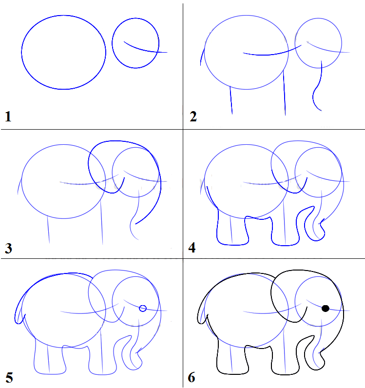 Как нарисовать животных - поэтапная инструкция для детей и взрослых. рекомендации, как правильно работать с карандашом