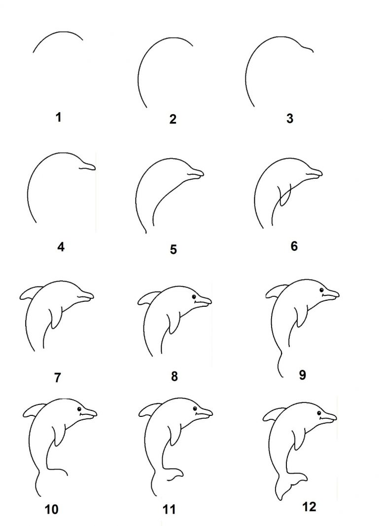 Как нарисовать дельфина поэтапно карандашом. как легко нарисовать дельфина для начинающих. как нарисовать дельфина детям поэтапно карандашом. статья будет полезна тем, кто хочет научиться рисовать дельфина разными способами.
