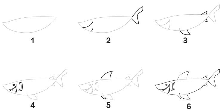 Как нарисовать акулу - wikihow