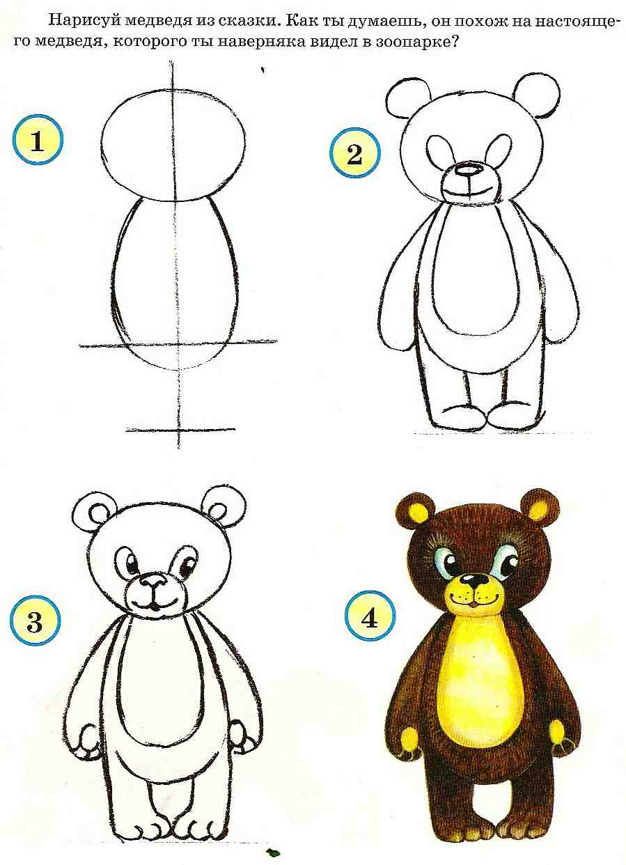 Медведь отличная фигура для рисования начинающим художникам Поэтапные мастер-классы по рисованию медведя карандашом для начинающих - фото идеи и примеры, советы, инструкции