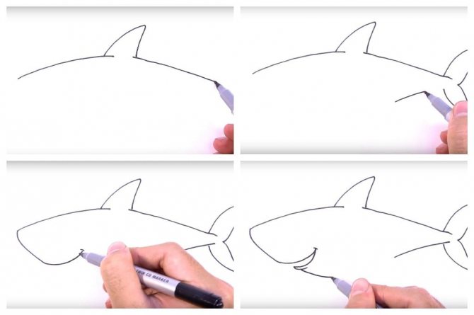 Рисунок акулы для детей карандашом для срисовки, раскрашивания в море, профиль, воде, цвете с открытой пастью, улыбкой