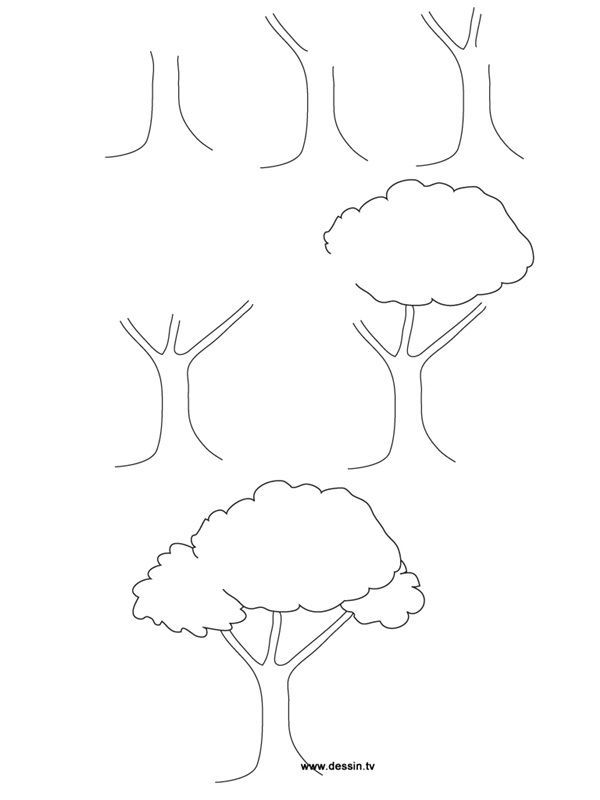 Как нарисовать лес поэтапно карандашом и красками: легкие уроки пейзажа для начинающих (мастер-класс)