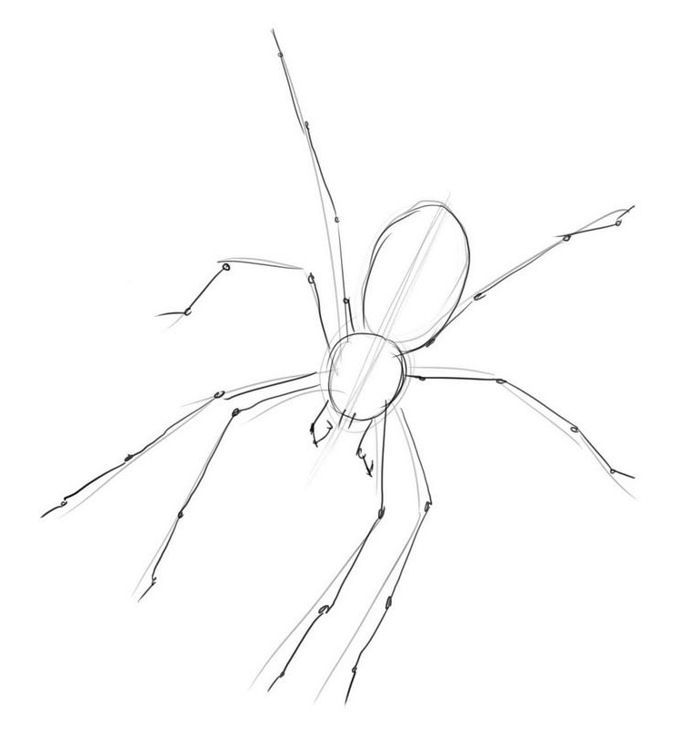 ✅ рисунок по технологии паутинкой поэтапно. как нарисовать паутину с пауком карандашом поэтапно - radostvsem.ru