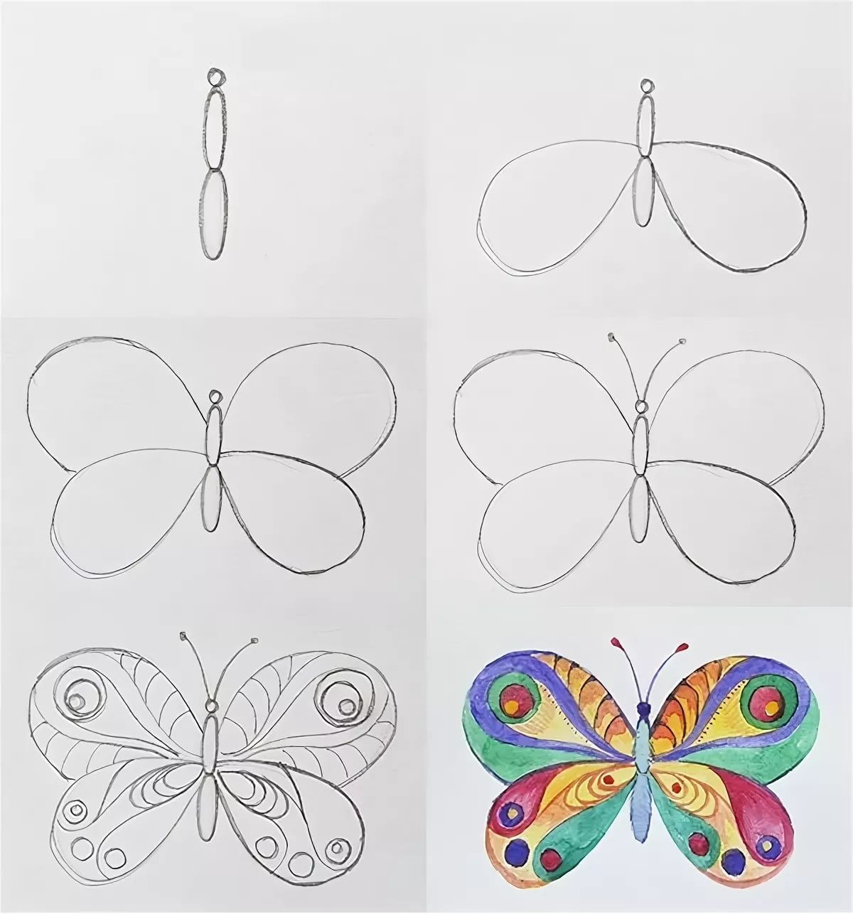 Как нарисовать бабочку поэтапно карандашом для начинающих ???? 2 легких способа
