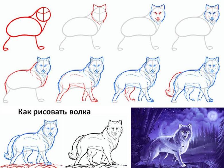 Как красиво нарисовать волка поэтапно карандашом: легкий мастер-класс от художника, обзор идей, картинок, техник