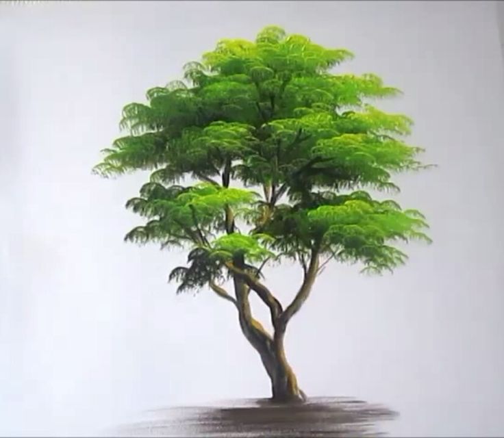 Как нарисовать дерево за 10 минут