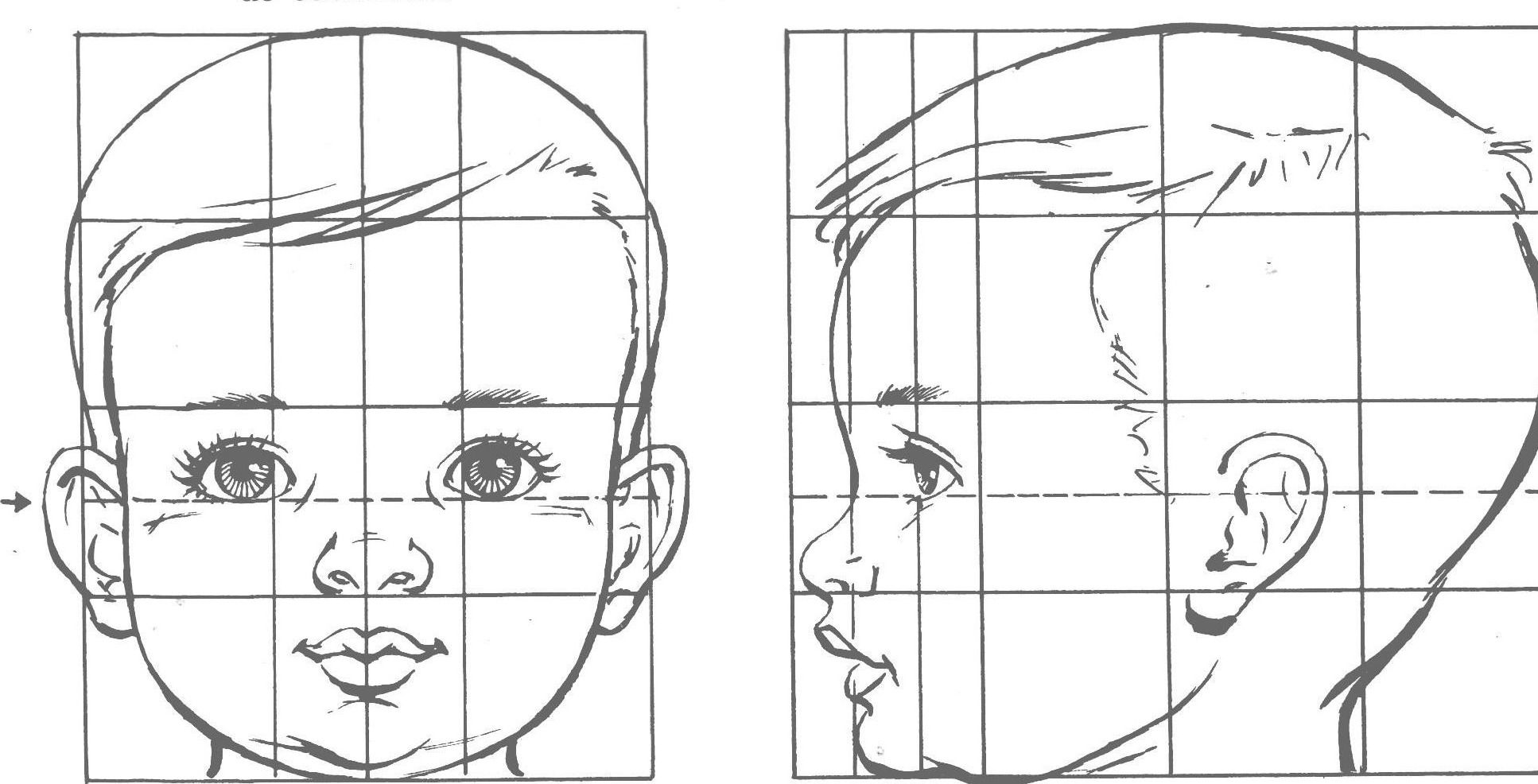 Пропорции лица ребенка при рисовании портрета схема