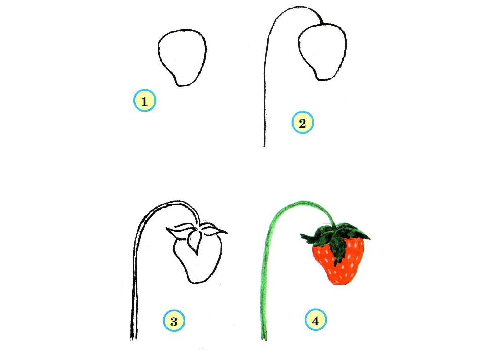 Урок 5. светотень - продолжение. как рисовать фрукты
