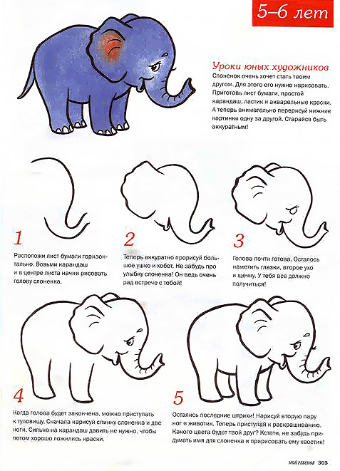 Как нарисовать слона: этапы построения рисунка и придание ему объема