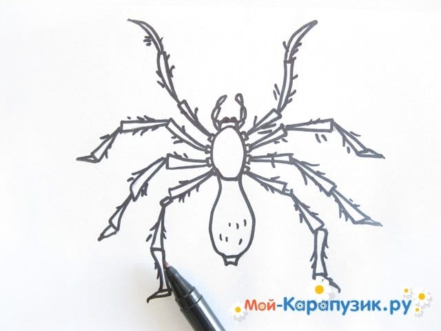 Как нарисовать паука: этапы создания рисунка паука своими руками (115 фото и видео)