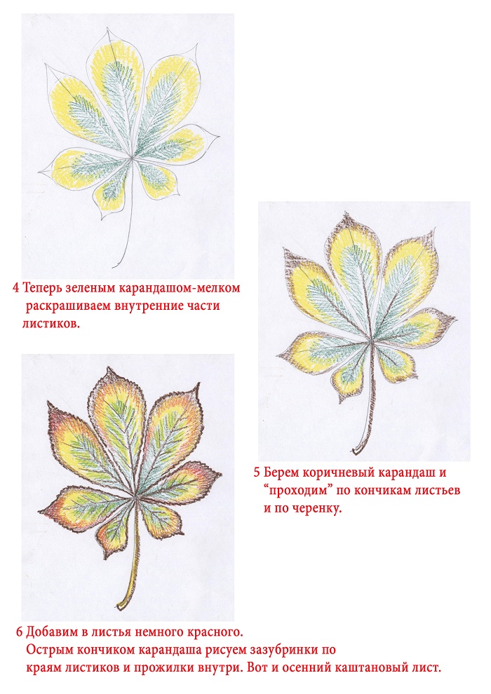 Как нарисовать листья деревьев поэтапно: красками и карандашом