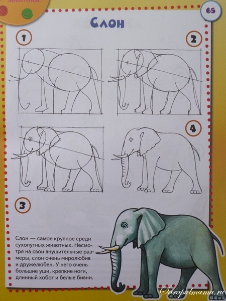Креативные техники нетрадиционного рисования для детского сада
