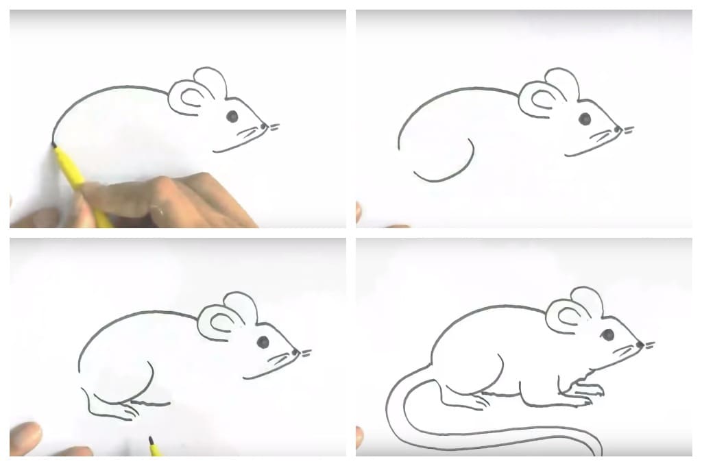 Рисуем крысу карандашами: пошаговая инструкция с фото