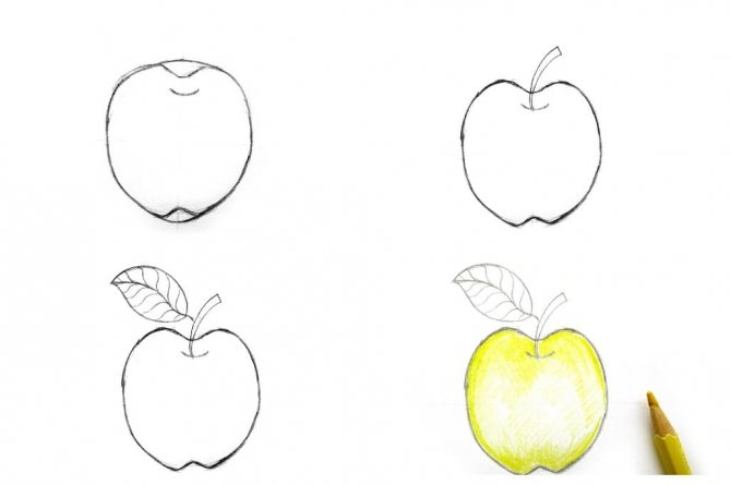 Как нарисовать яблоко карандашом • artshelter